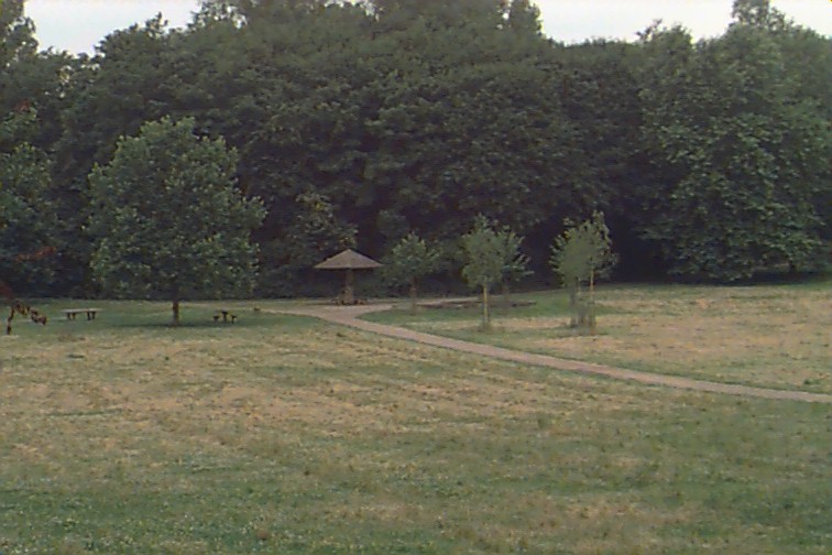 Die grosse Wiese